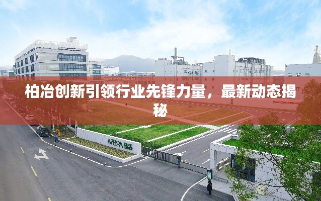 柏冶创新引领行业先锋力量，最新动态揭秘