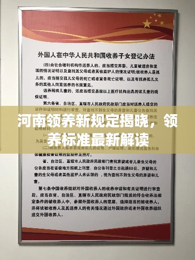 河南领养新规定揭晓，领养标准最新解读