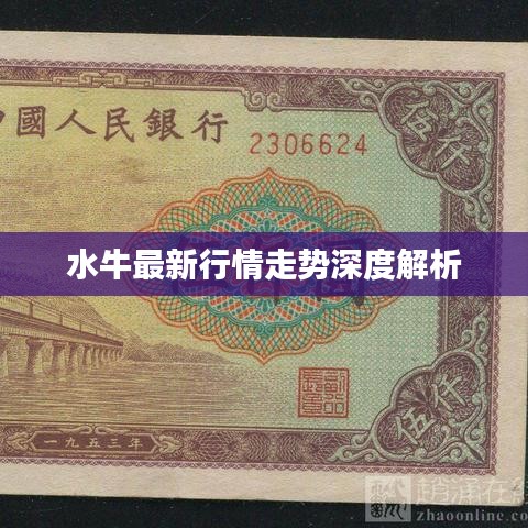 水牛最新行情走势深度解析
