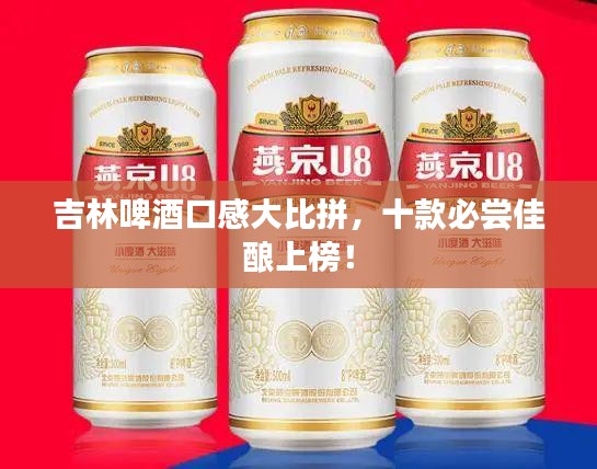 吉林啤酒口感大比拼，十款必尝佳酿上榜！