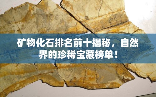 矿物化石排名前十揭秘，自然界的珍稀宝藏榜单！