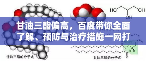 甘油三酯偏高，百度带你全面了解、预防与治疗措施一网打尽！