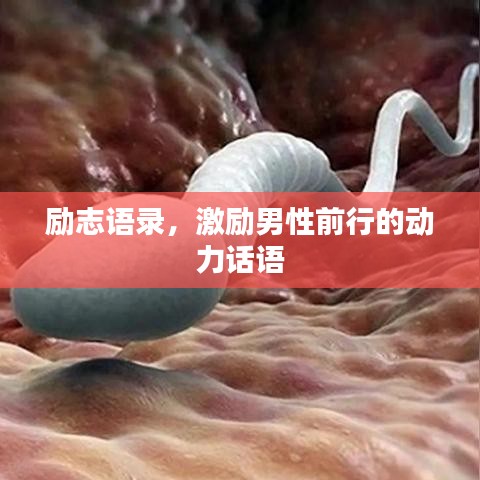 励志语录，激励男性前行的动力话语