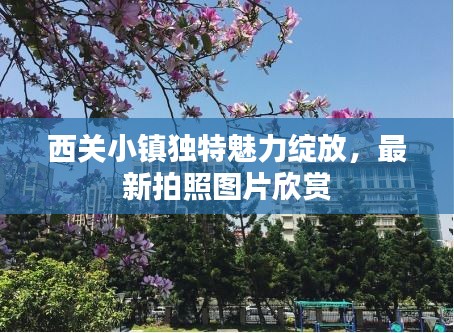 西关小镇独特魅力绽放，最新拍照图片欣赏