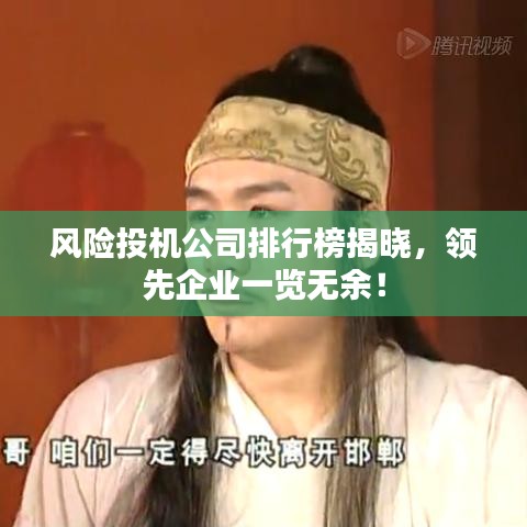 风险投机公司排行榜揭晓，领先企业一览无余！